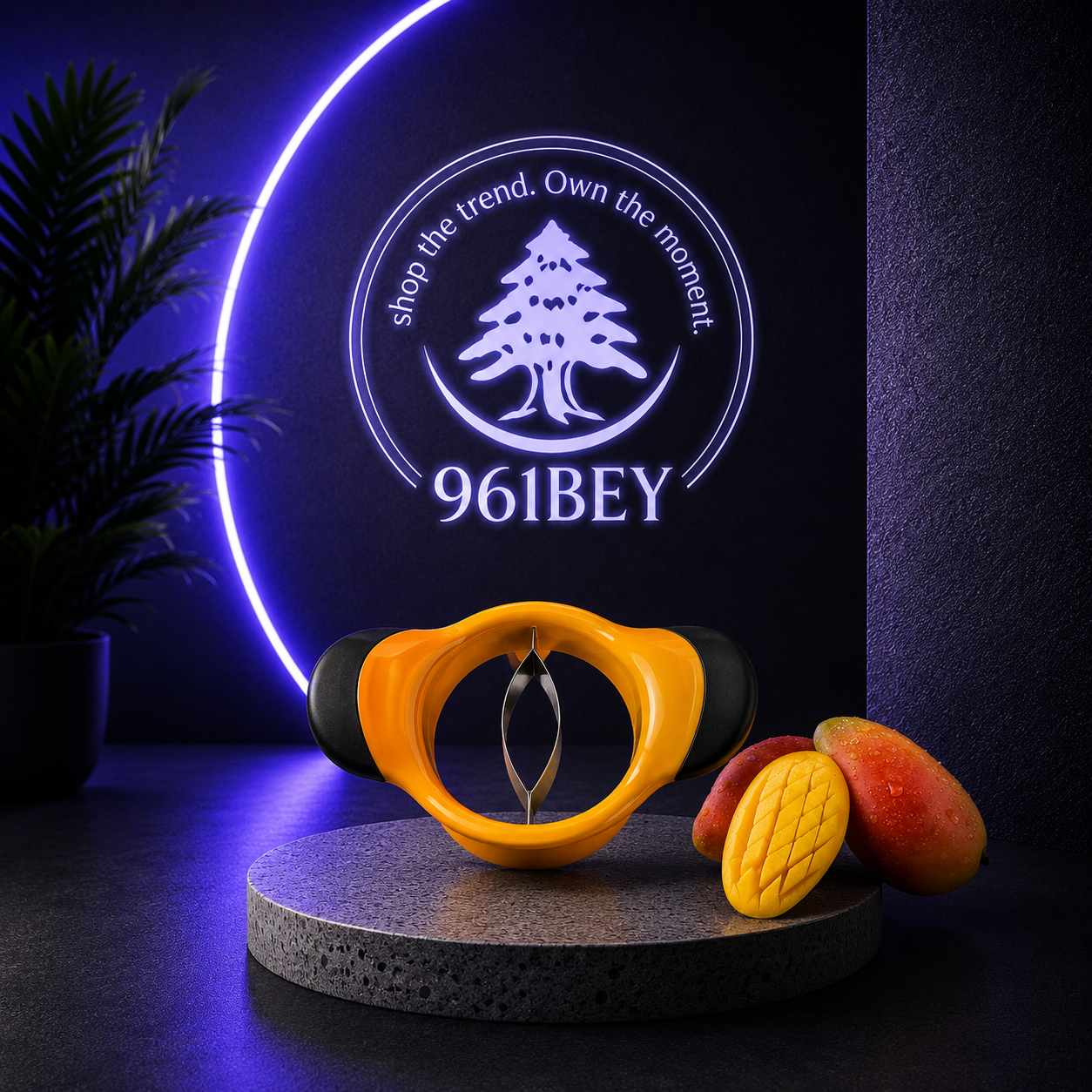 Mango Slicer