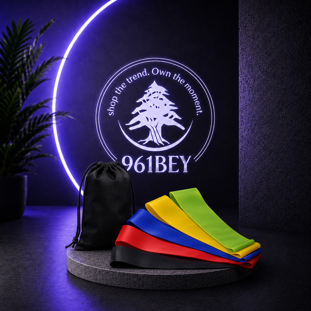 5 Multicolor Resistance Bands