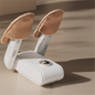 Electric Shoes Dryer