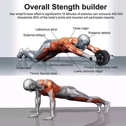Abs Wheel Exerciser
